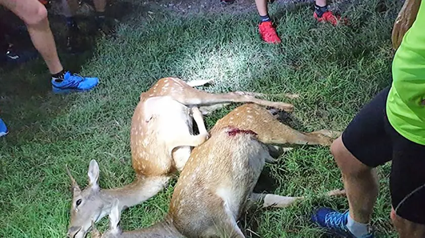 POLETTO-FOTOPIRAN-BATTAGLIA TERME-DAINI SENTIERO FERRO DI CAVALLO