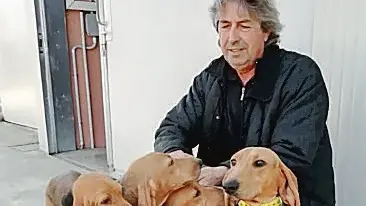 I segugi di Lucio Baldassa