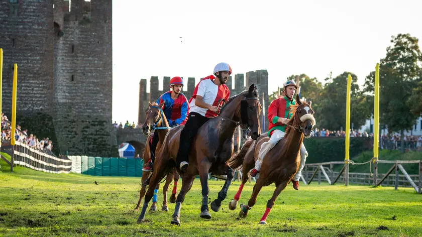 Tre cavalli in gara nel vallo (foto Zangirolami)
