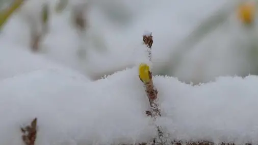 Neve e gelo a Pescara, 26 febbraio 2018 ANSA/MASSIMILIANO SCHIAZZA