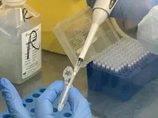 Test rapido salivare per il coranavirus dell universita Insubria, Milano 9 settembre 2020. Ansa Filippo venezia