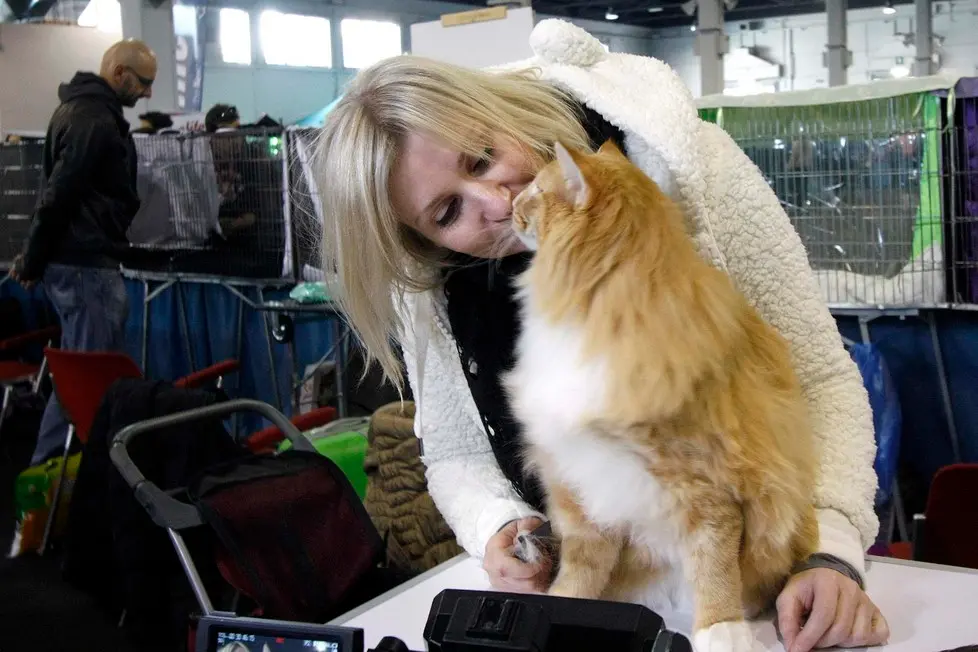 MARIAN - AGENZIA BIANCHI - PADOVA - FIERA DEI GATTI