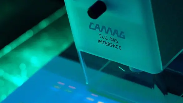 Thin_layer chromatography. Glowing bands, under fluorescent lighting, indicating resolved chemical components on a thin_layer chromatography TLC plate...