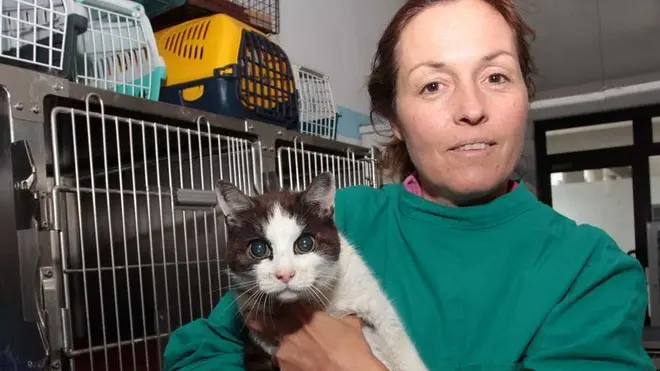 PIEROBON GATTO IMPALLINATO PERAROLO il gatto ferito con la Dott.ssa Claudia Petersohn
