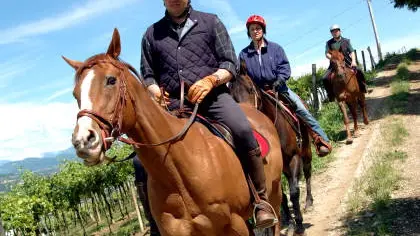 Una passeggiata a cavallo (foto d'archivio)