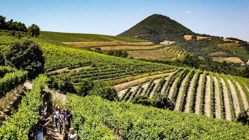 Una veduta dei Colli Euganei, nell'area di Arquà Petrarca