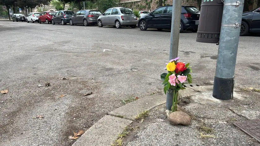 Fiori sul luogo in cui una ragazza di 29 anni è stata investita e uccisa da un'auto pirata stamane, verso le 5.30, a Verona, 22 maggio 2022. La giovane, che passeggiava con un amico su un marciapiede, vicino a Porta Vescovo, è stata colpita in pieno ed è deceduta all'istante. L'automobilista, un 26enne veronese alla guida di una Volkswagen Polo, è fuggito dopo l'incidente, senza prestare i soccorsi. Ma è stato intercettato e fermato poco dopo da una pattuglia polizia locale, nei pressi di una discoteca. Aveva un tasso di alcol nel sangue molto elevato, almeno tre volte superiore ai limiti di legge. ANSA/ MARIO POLI