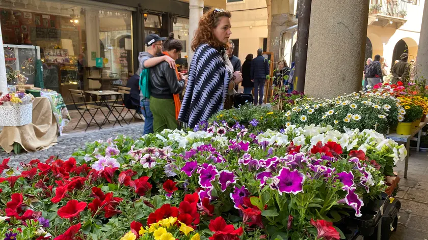 Ghetto in Fiore a Padova (agenzia Bianchi)