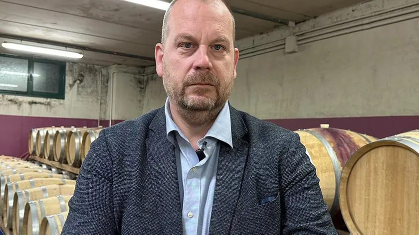 Nicola Zandonà, direttore della Cantina Colli Euganei di Vo’ (foto piran)