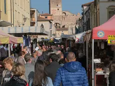 Cittadella