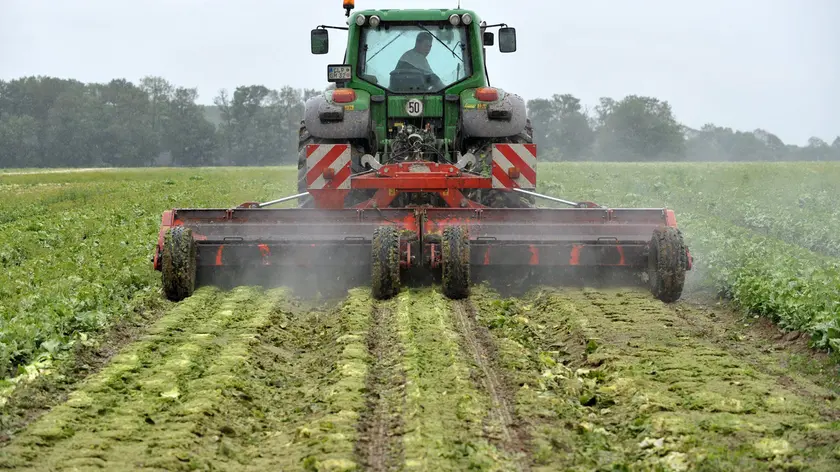 L'agricoltura padovana ha perso un milione di euro per il caldo anomalo