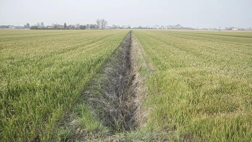 Un canale del Consorzio Brian ad Eraclea (foto Vianello)