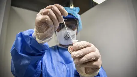I tamponi rapidi, obbligatori per spostarsi durante la pandemia