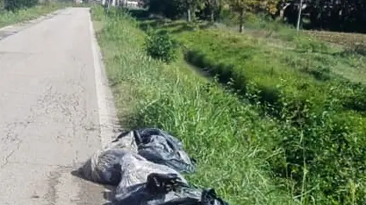 Casale di Scodosia (PD), 28 agosto 2018. Mattanza di animali per rito islamico a Casale di Scodosia. Nella foto: i resti insacchettati e abbandonati per strada