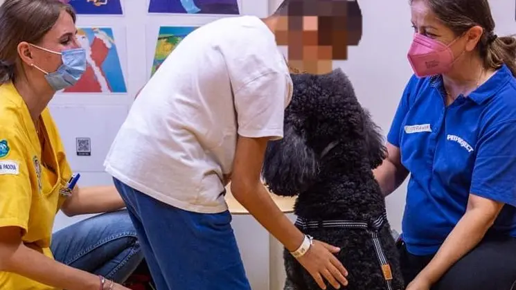Alcuni momenti di socializzazione dei bambini con i cani: il progetto è finanziato dalla Regione