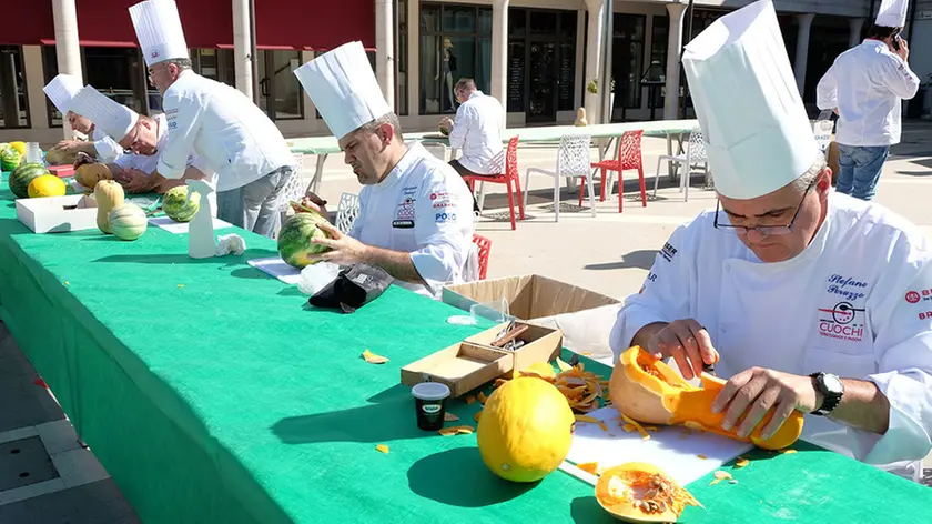 BELLUCO - FOTOPIRAN - ABANO - SCULTURE DI FRUTTA E VERDURA PARCO URBANO