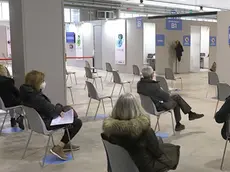 TOME' - AGENZIA BIANCHI - PADOVA - VACCINI IN FIERA