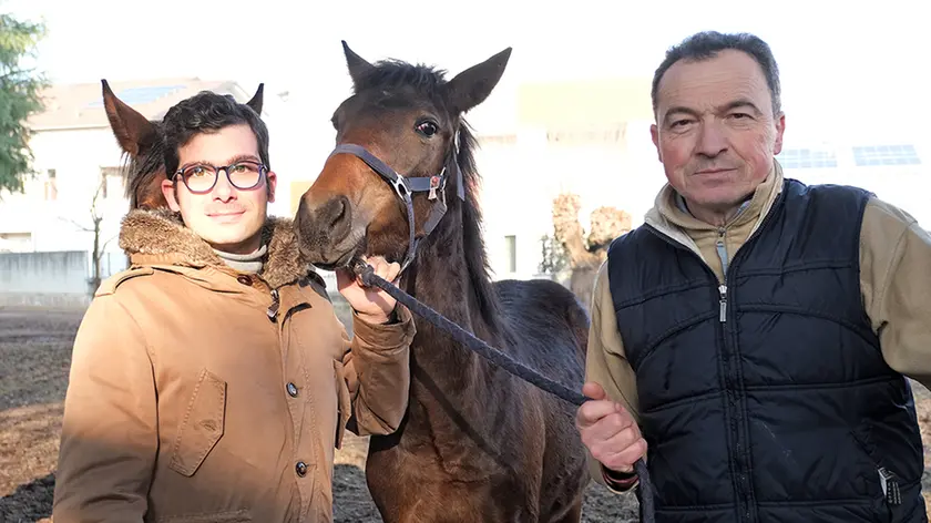 Da sinistra Filippo Lago, 30 anni, con il suo puledro Gougeon e Giovanni Lago (FOTOPIRAN)