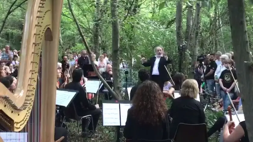 Un momento del concerto nel bosco del Parco del Sile