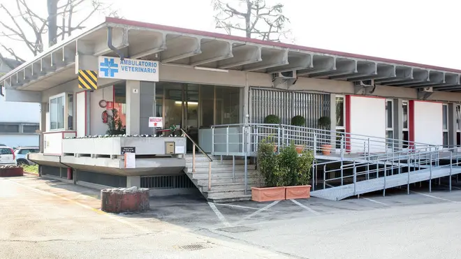BELLUCO.NUOVO CENTRO VETERINARIO FONTANIVA
