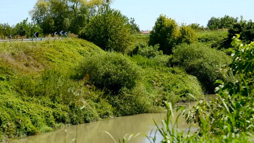 CESARATO - STANGHELLA - VIA G. MARCONI 185 - SUICIDICIO DI MAURIZIO CIPRIANI NELLA FOTO : IL FIUME DELLO SCOLO DIETRO CASA DI MAURIZIO CIPRIANI PH ZANGIROLAMI