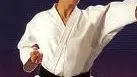 KARATE Montagnana sugli scudi a Velletri