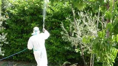 - Disinfestazione dalle zanzare