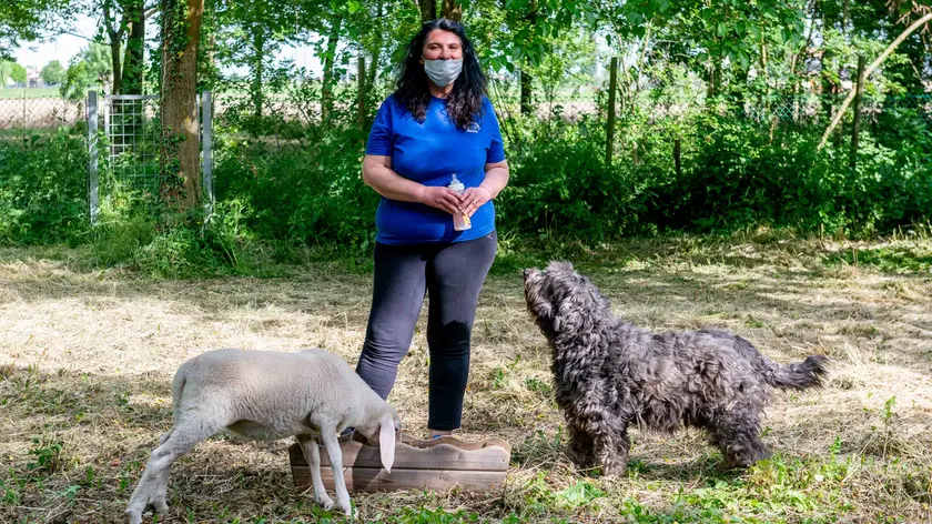 Veronica Di Geronimo fra Bettina l’agnellina e Bart il pastore bergamasco (foto Zangirolami)