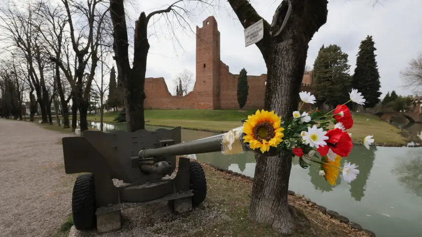 I fiori nel cannone della Rocca di Noale, messi da Giorgio Fascina