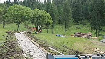 Il servizio forestale a Belluno