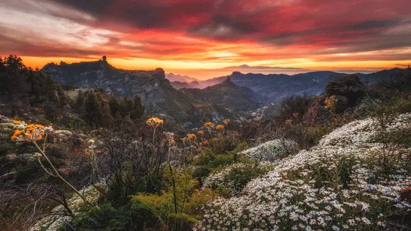 Roque Nublo y Bentayga, Tejeda