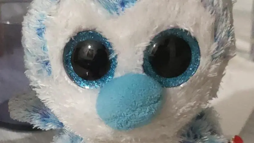 Il peluche perso dal bambino