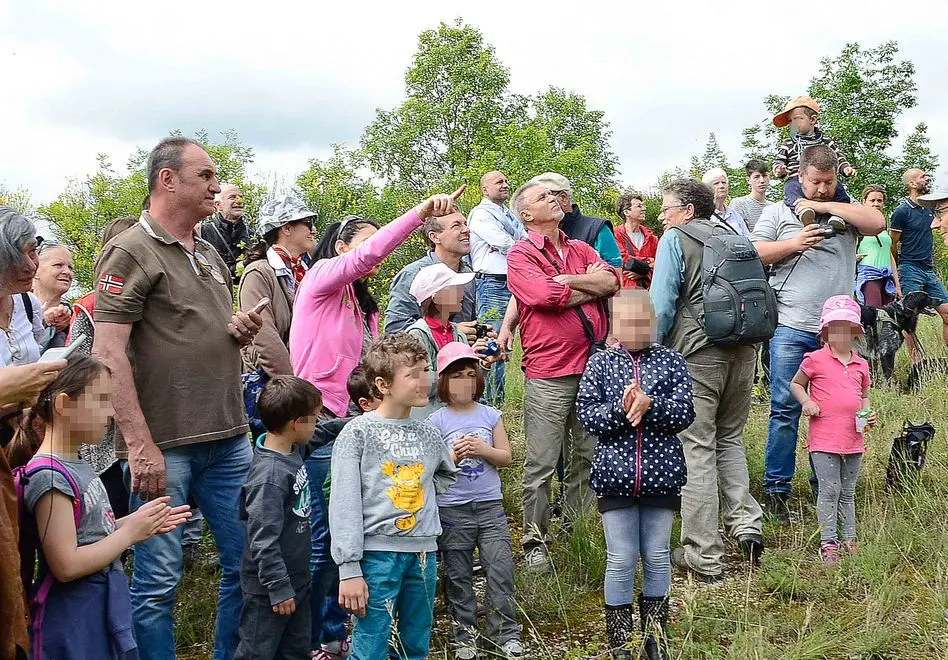 BOTTIN - 15/05/2016 - CINTO - LIBERAZIONE DI VOLATILI DA PARTE DELLA LIPU - NELLA FOTO: LA LIBERAZIONE DEI VOLATILI - PH ZANGIROLAMI