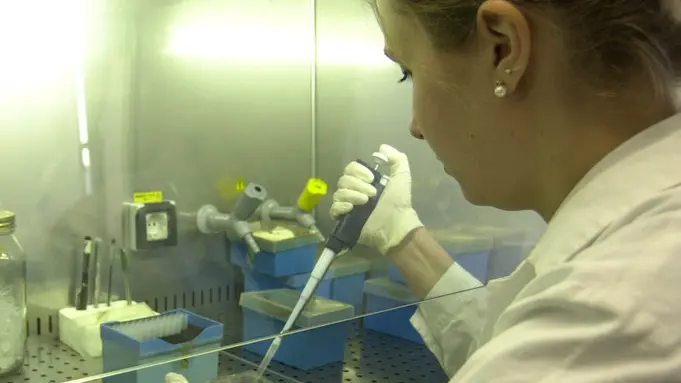 PD 04 marzo G.M. Istituto Veneto Medicina Molecolare Fondazione ricerca biomedica avanzata , laboratori (VIGATO)