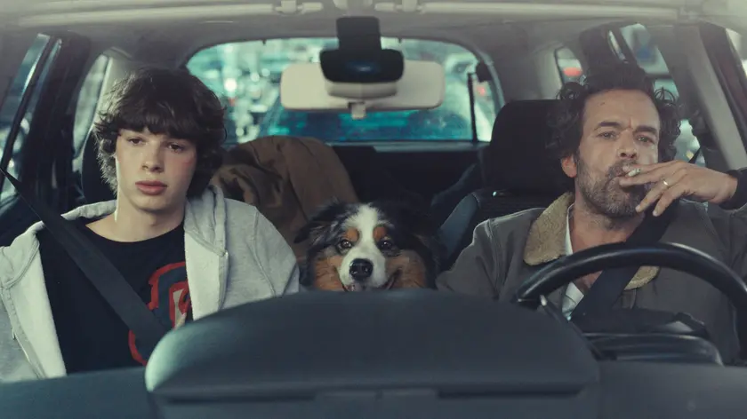 Il film "The animal kingdom"