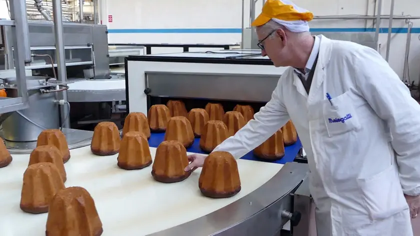 Operai al Lavoro allo stabilimento Melegatti
