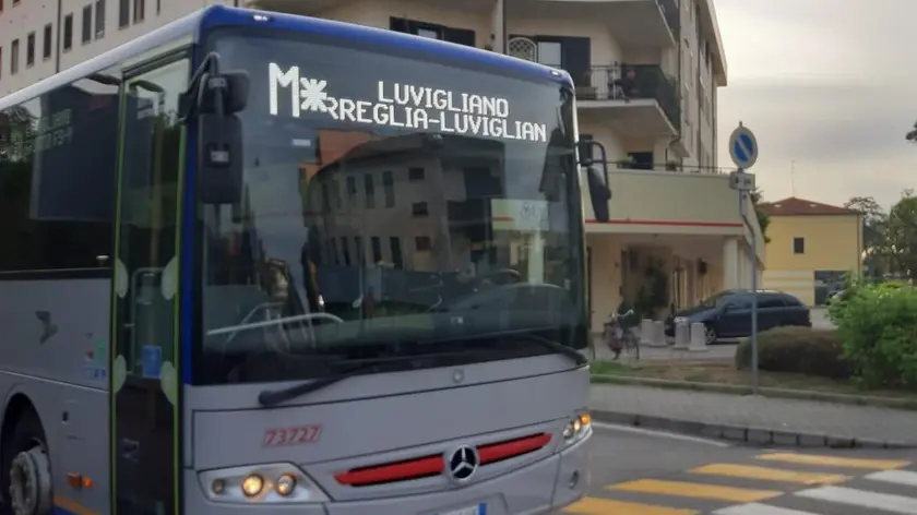 La nuova linea M che passa per Torreglia e Luvigliano