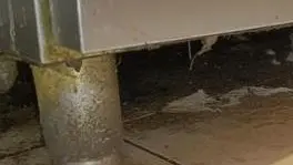 Le condizioni igienico sanitarie di bagni e cucine