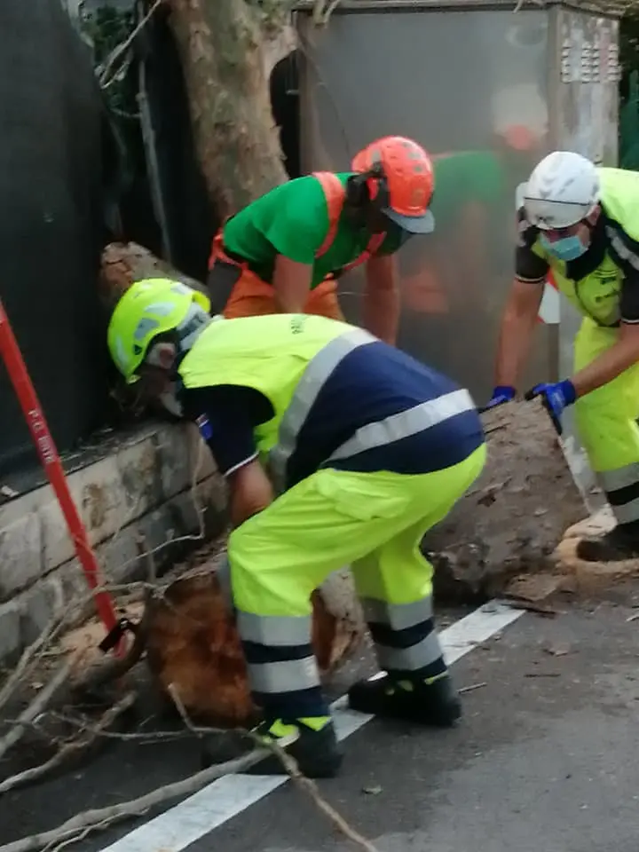 L'intervento della Protezione civile a Este (fonte pagina Fb del sindaco Roberta Gallana)