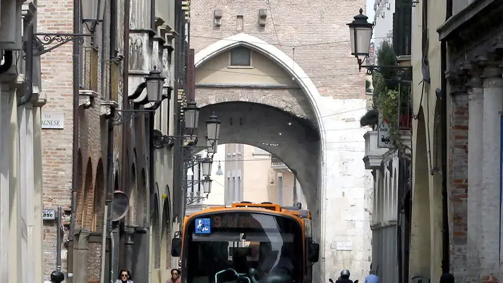 CARRAI - TRAFFICO VIA DANTE CARRAI - TRAFFICO VIA DANTE