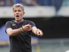 Hellas Verona's head coach Marco Baroni gestures during the Italian Serie A soccer match Hellas Verona vs Torino FC at Marcantonio Bentegodi stadium in Verona, Italy, 12 May 2024. ANSA/EMANUELE PENNACCHIO