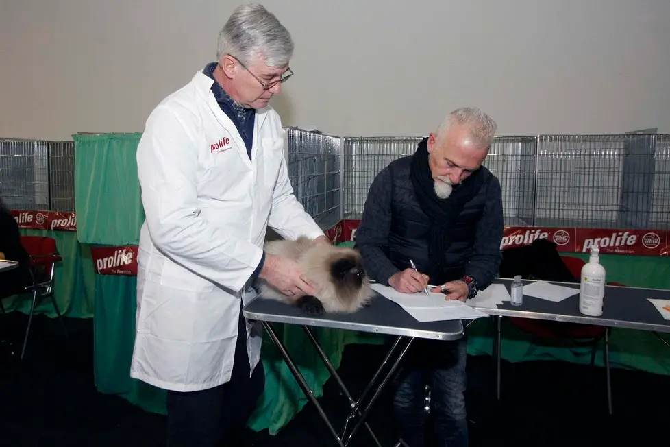 MARIAN - AGENZIA BIANCHI - PADOVA - FIERA DEI GATTI