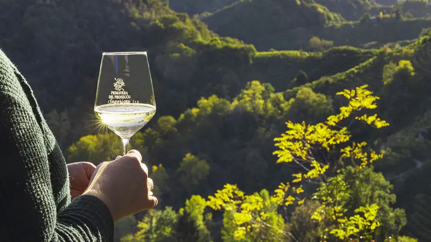 I migliori vini del Veneto premiati dal Gambero Rosso