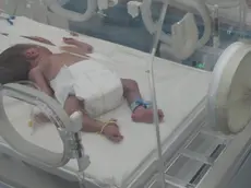 Un neonato in ospedale in una foto d'ARCHIVIO. ANSA
