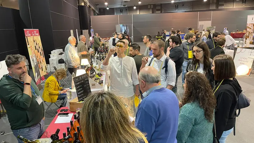 Padova in vino al padiglione 11 della Fiera (fotoservizio Bianchi)