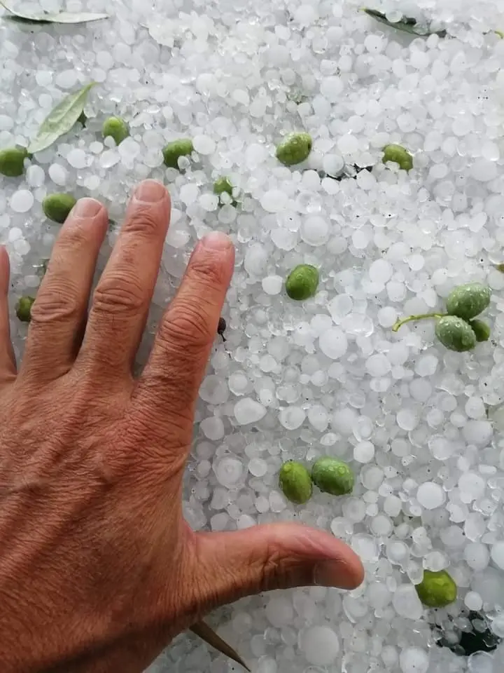 La grandine scesa in zona Torricelle a Verona (foto di Lorenzo Dalla Valentina pubblicata su BPP Meteo - Bassa Pianura Padana)