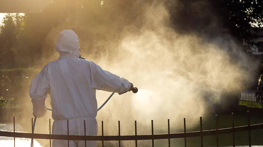 Una campagna di disinfestazione contro la dengue