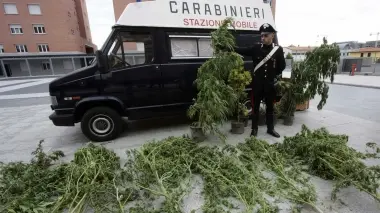 SEQUESTRI. I carabinieri hanno sequestrato semi di marijuana ma anche cocaina e hashish. L’operazione era finalizzata a stroncare gli acquisti proibiti che vengono effettuati on line con carta di credito