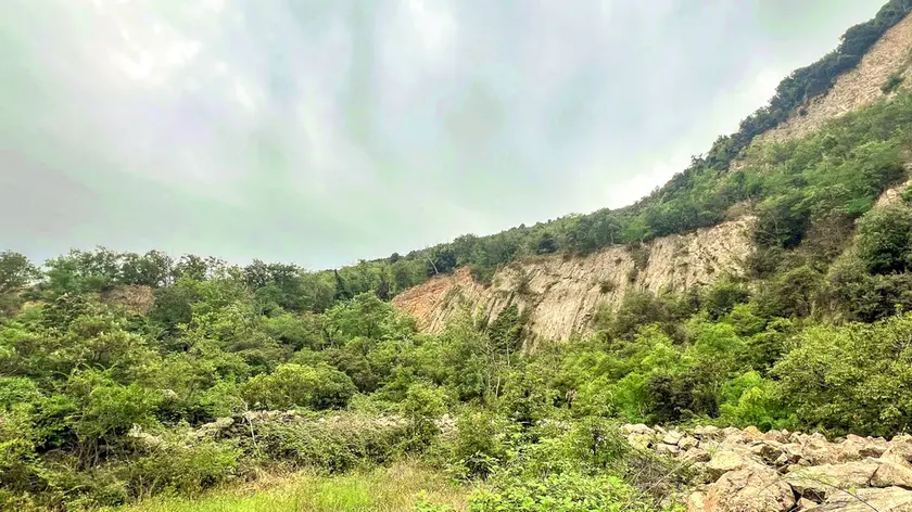 l bosco di cava Solana