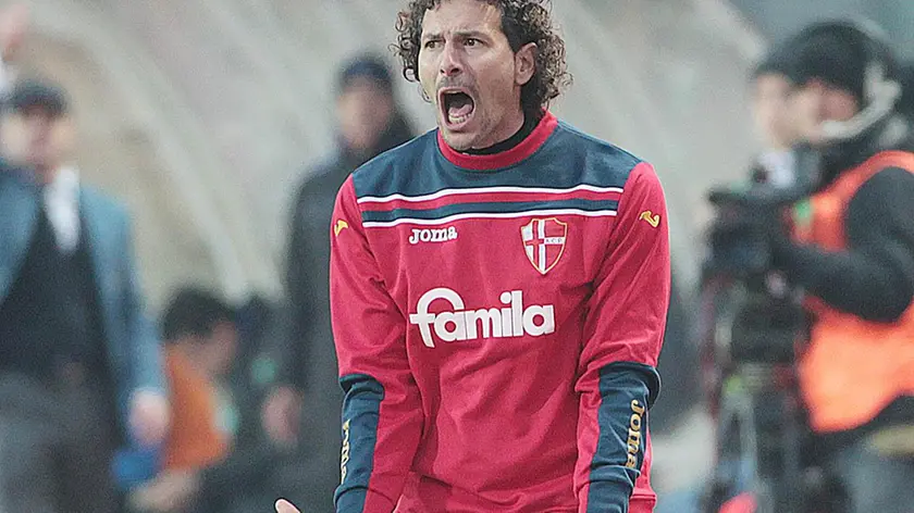 dalcanto